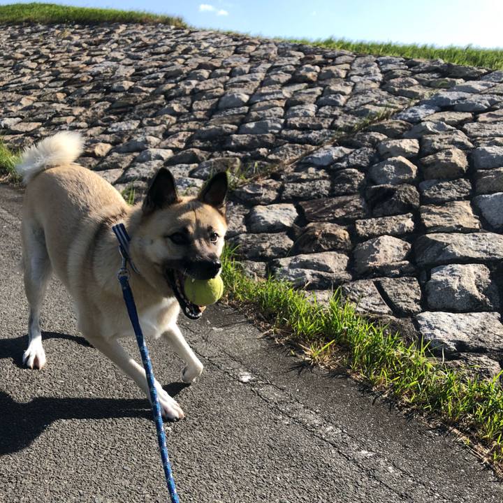 Dd51a24c f24a 48de aaeb 450d0a9ff1cc 1570971633425