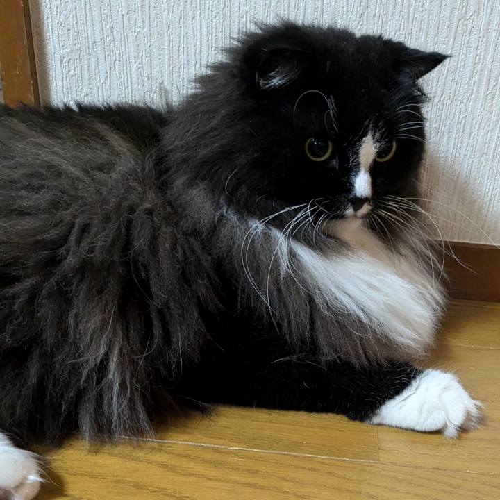 Dd51a37e 9f1d 4a28 9a03 c07857e03732 1727730403430