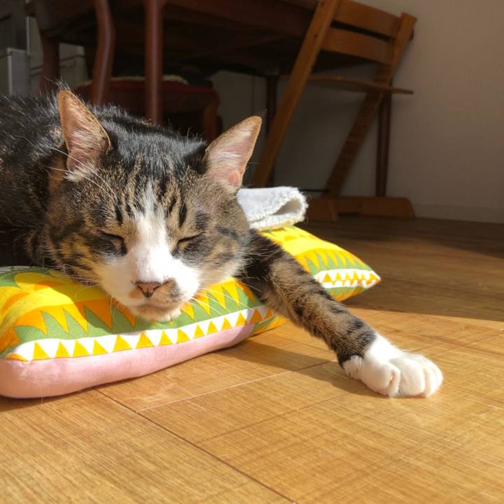 Dd51a998 de85 49f2 a0df 9d45466508fa 1618956012024