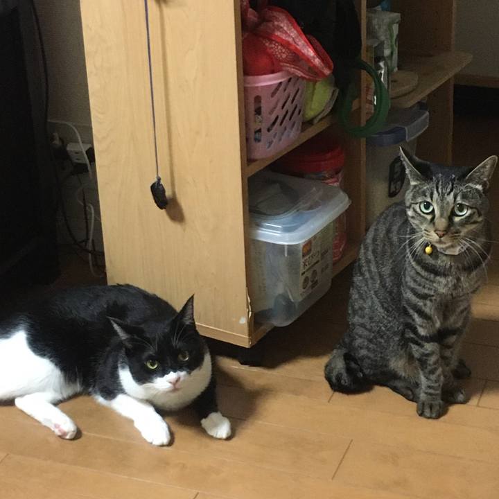 Dd51db97 efd0 467c bdd4 327a14f3dab6 1582122418795