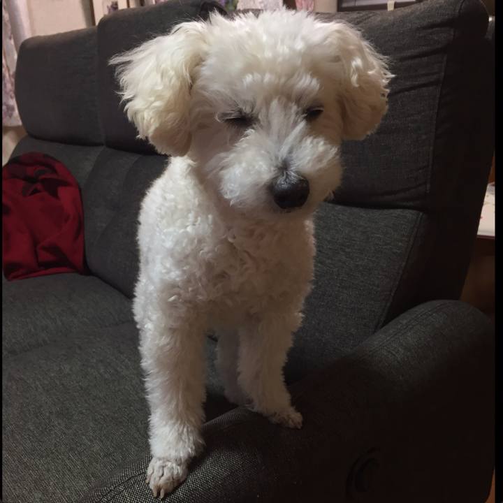 Dd51f561 00d1 46ca 826c ec49e9560a7e 1516770864480