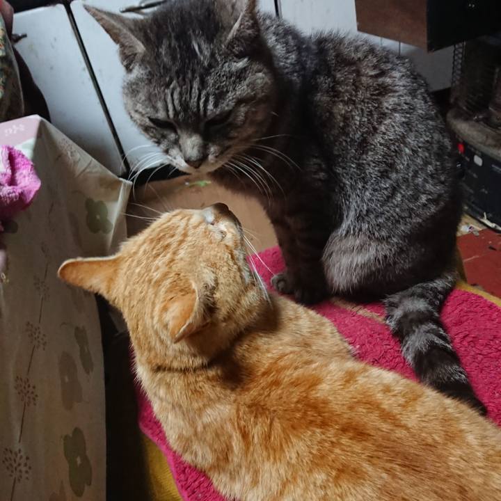 Dd51f84e e865 4a4c 8116 a42dc7ff157a 1556617262190