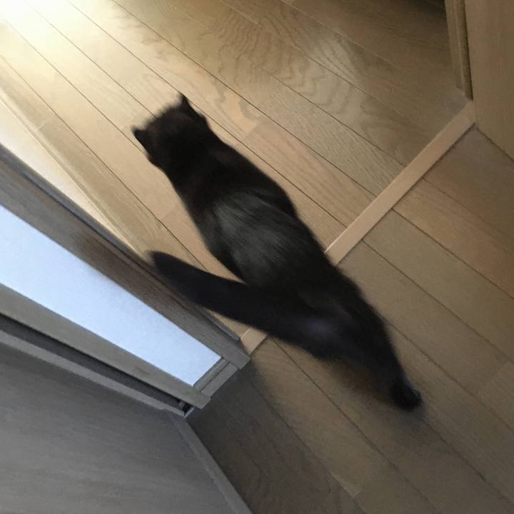 Dd521d78 bbeb 4577 b9a1 4827d86bae16 1574223169293