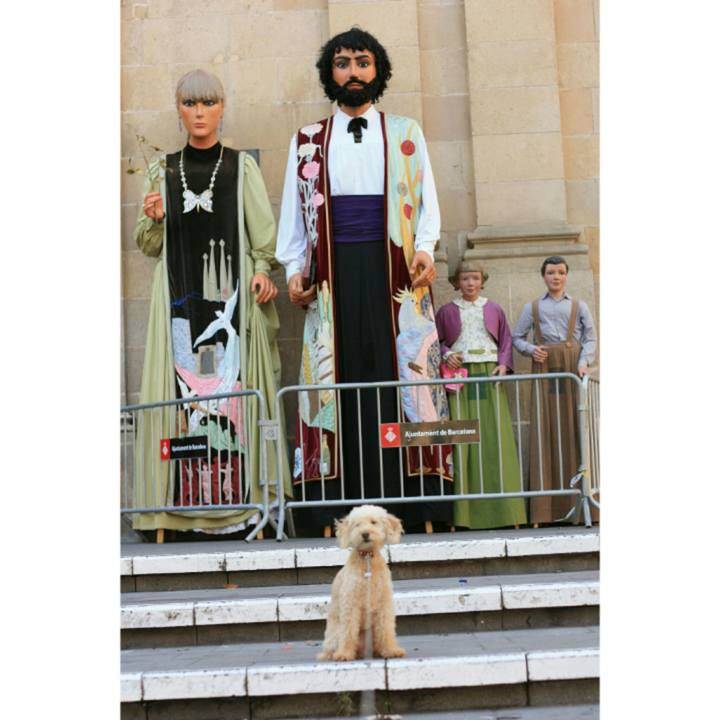 Dd522ccd db7d 4dda b901 acc3c6ae9777 1539266844938