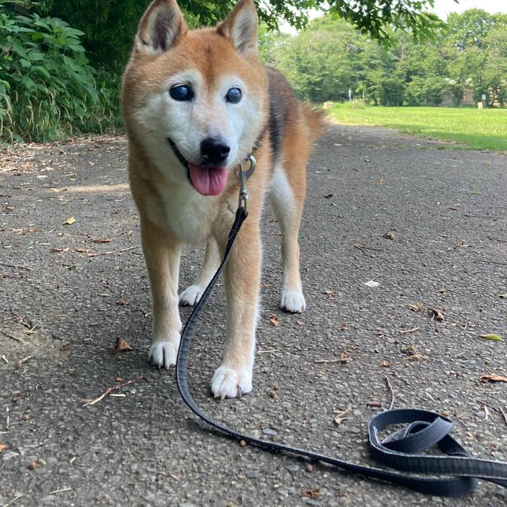 Dd522e32 dfa8 4065 b9e7 e48f2cfce15c 1751344763710