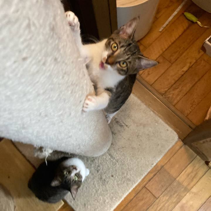 Dd526e45 ba6b 45be a006 3e1fc0966aae 1700745731494