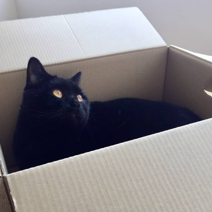 Dd52b029 26af 463a a0d4 a263deff91c7 1557478279643