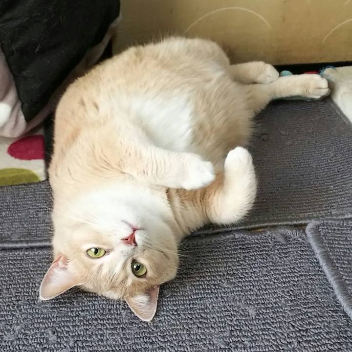 Dd52d57e 6c9f 46af 8bb5 461d5a436717 1532161994250