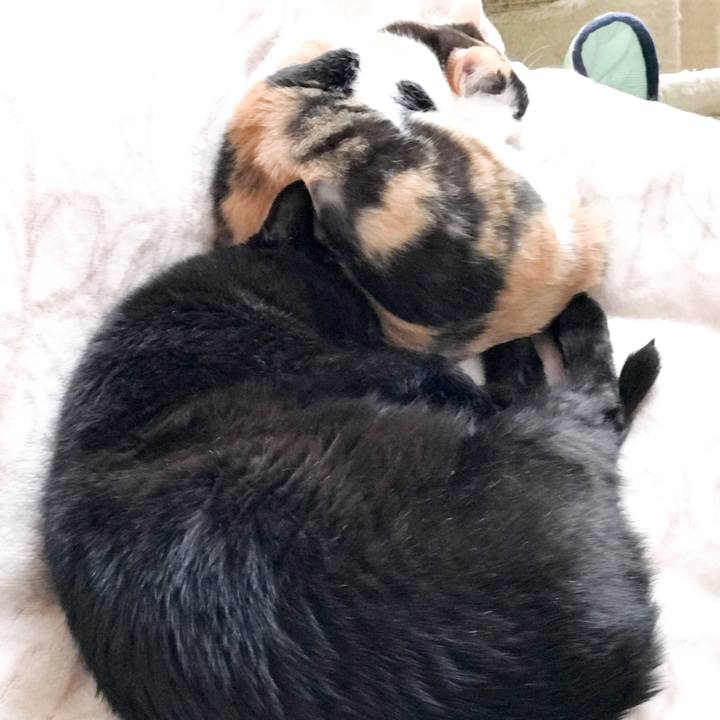 Dd52d88f f76d 4bf0 83de f2b6cecaa982 1526484043425