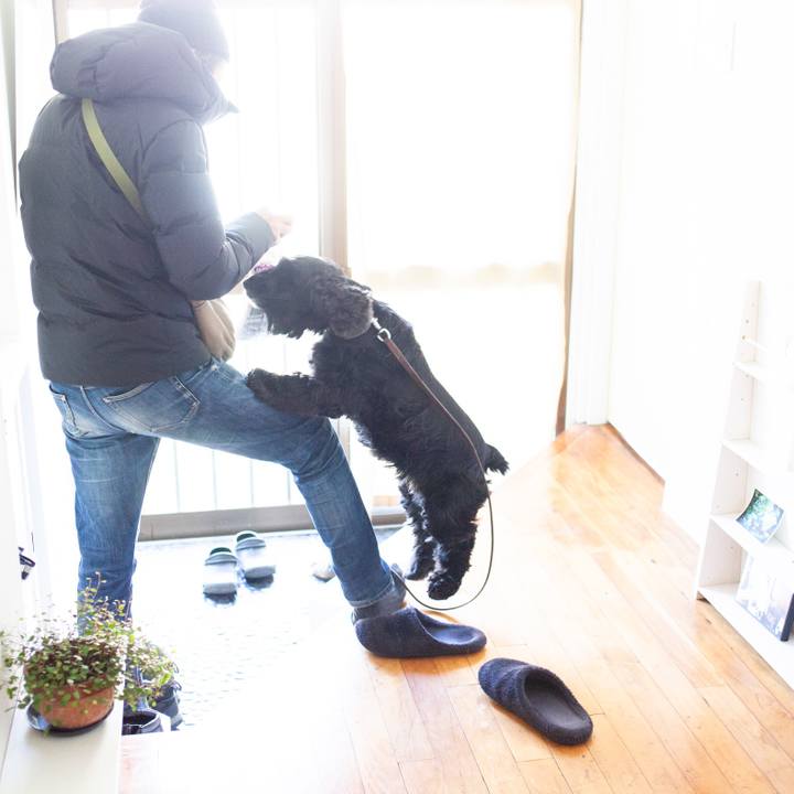 Dd52fade 9a40 47a4 80e1 5944f7721aee 1551756653137