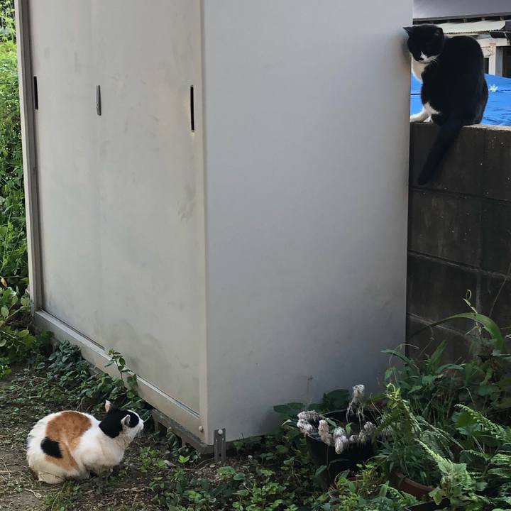 Dd530016 6e3c 48a1 8a64 12210603d3b2 1601245380354