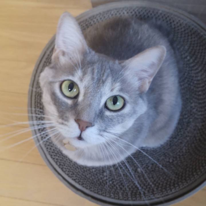 Dd5310e8 f781 41a1 9952 bd601b64abed 1581557503151