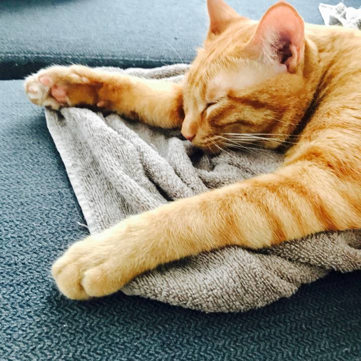 Dd531e9f 01e1 4994 bceb 7aa6a2edb36f 1599898266201