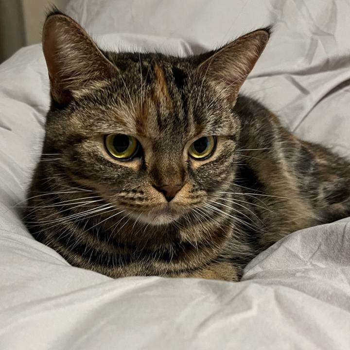 Dd533377 55d6 4ce8 b608 974411089fa3 1675351515148