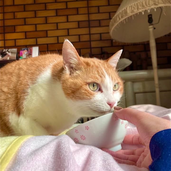 Dd534531 2ca3 4b21 9eb7 a702ea7c34be 1681695190990