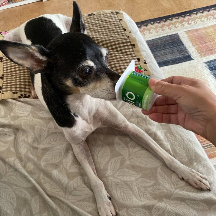 Dd538ca1 2b0c 4c2d 88b5 65680b19f5e3 1572064892669