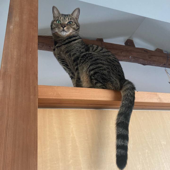 Dd538d91 ec51 4c41 944a c4d7f6574ca2 1731712377817