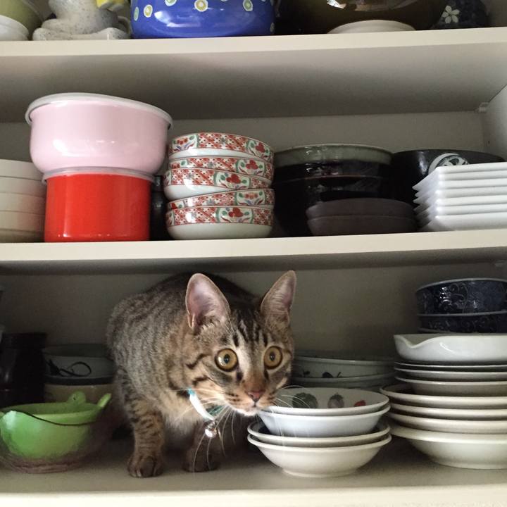 Dd53a763 d059 48f3 a215 7475eaf01255 1513153229981