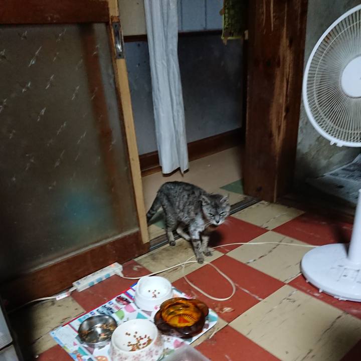 Dd53d142 b6b4 43c3 a926 3da61f842659 1593979591387