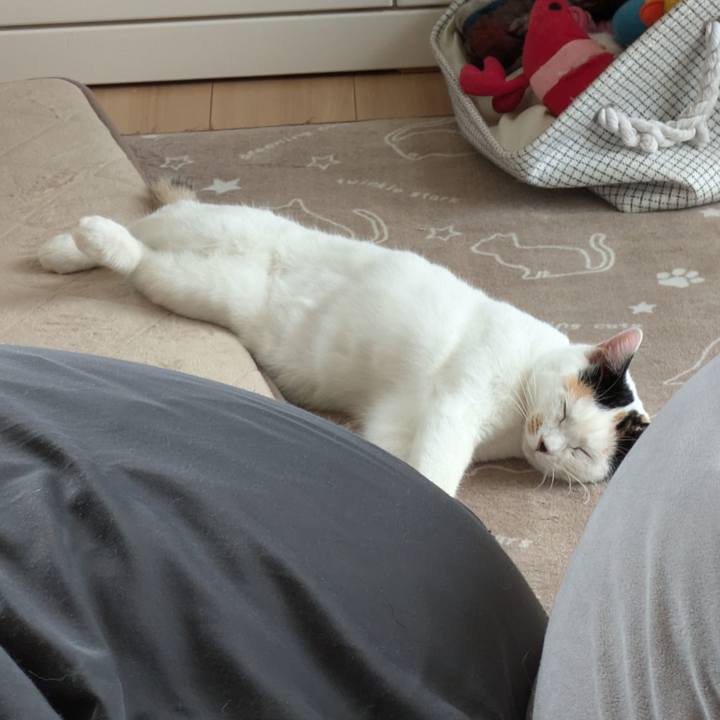 Dd53d6e1 a0b3 472e bbe5 4738b52fada0 1729647538835