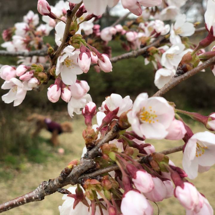 Dd543efc c5a2 4b7c 9d2d 651ca0fc8f3c 1554864653331