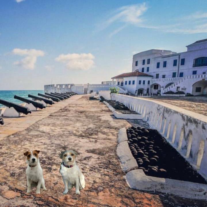 Dd5459af 1b6c 459f af5b 14e575b06b05 1524234044537