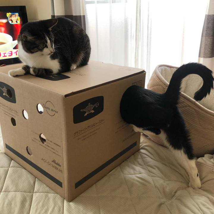 Dd546ced ef56 4242 a5a8 54203ec36142 1597555342413