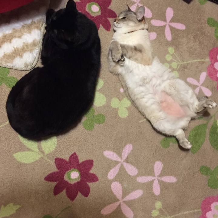 Dd54a0b8 7104 4357 8667 59e8589dce23 1525868678298