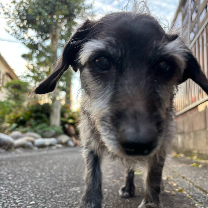 Dd54c612 5887 4099 9249 f1093a8840ac 1762817389490