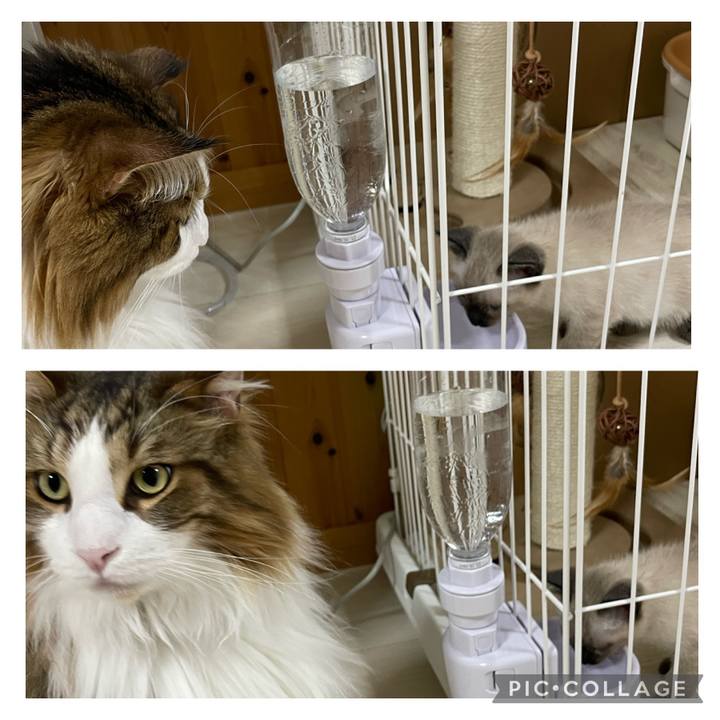 Dd54ca4a 7ccd 4f80 87ae 9711eca85f25 1687521893399