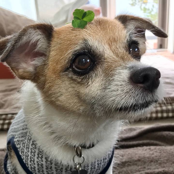 Dd54e408 da18 436e b61f da8d979823b0 1594422630645