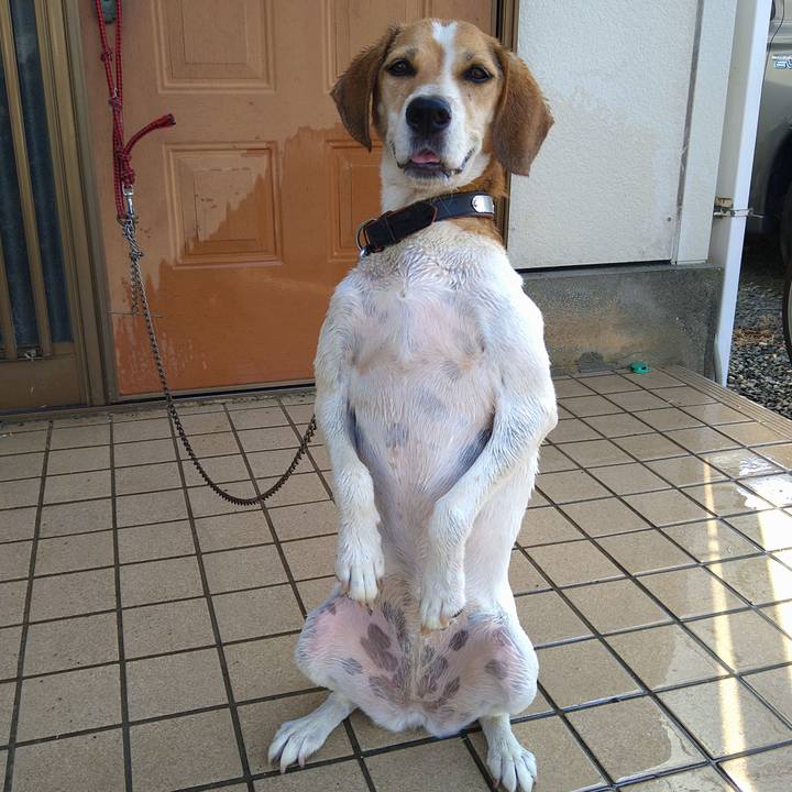 Dd55253f 0779 47f5 b9ad 6122d3738673 1660023248788