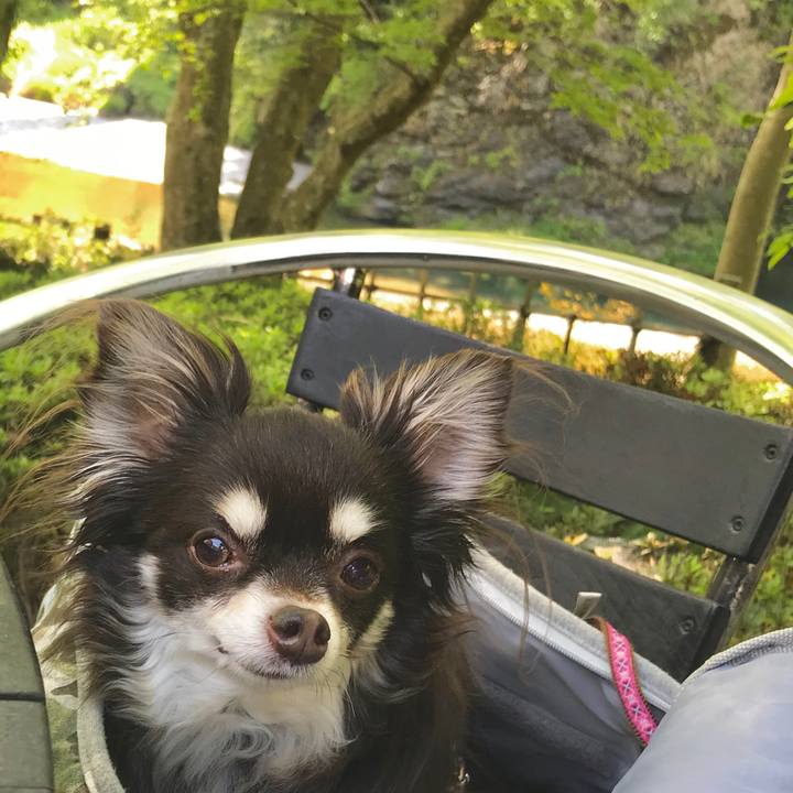 Dd55472e 82c7 4eef 980c 557ade210446 1557542287926