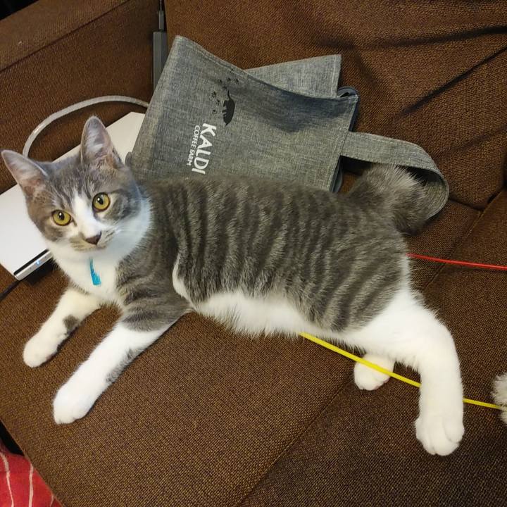 Dd5550ac bf37 4877 9e84 1df368ac655e 1570325247718