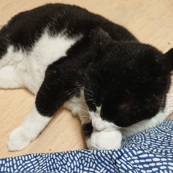 Dd555d9b a4b1 4c3c 8733 dc08bdca5aa3 1626183824053