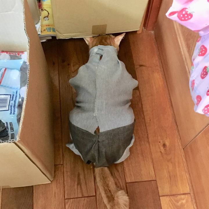 Dd5565cc 6360 4b9c a4bc 0470f0e1b8fc 1536235066656