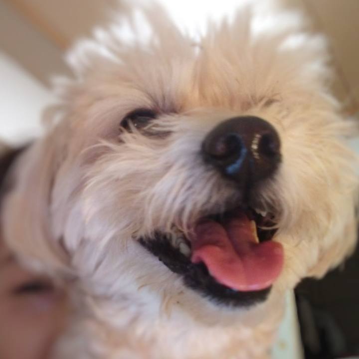 Dd558360 44d9 4991 9952 28097f916e4b 1594934427658