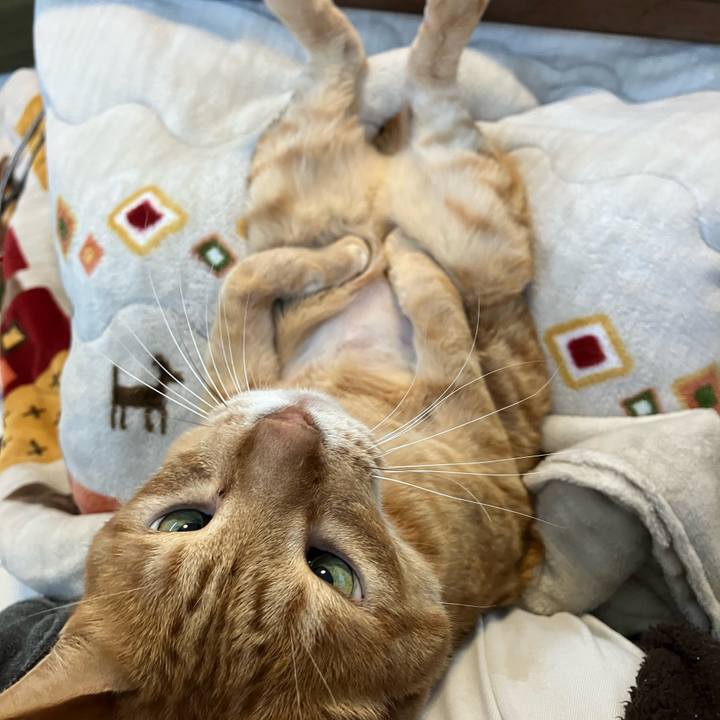 Dd55ac96 5774 4f0b 8b39 e9bad9277560 1763596149112