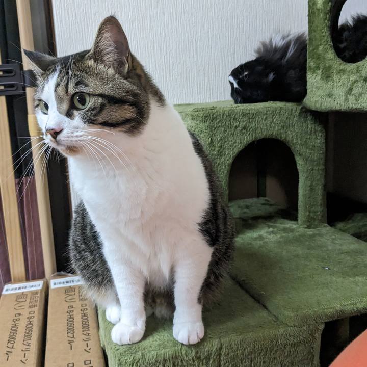 Dd55cfe8 7ce7 49fb 90da e98d3204ad48 1690714749963