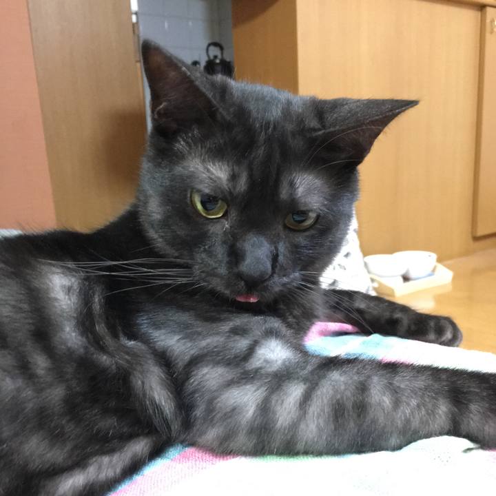 Dd55df1f 1ea8 4531 a4c1 200ab872c8a1 1555041809265