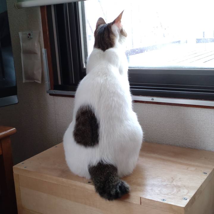 Dd55f4ec 04b6 44cc a26e 1fd932d6e8f7 1683361571152