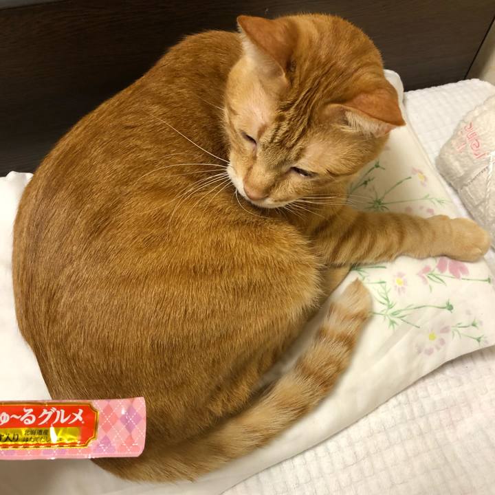 Dd55fe14 35f4 4829 a74d 31fd73e9e12d 1573564727175