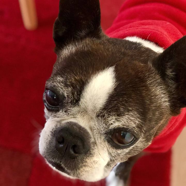 Dd560266 d699 48fa 96f8 7d3afa196b75 1510318456564