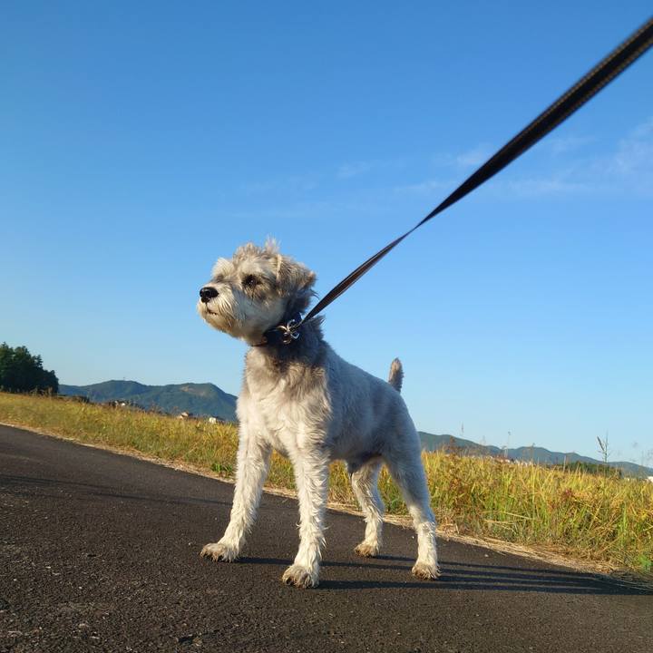 Dd5667bd dcac 492a 8928 4b89fff9775f 1759011283520