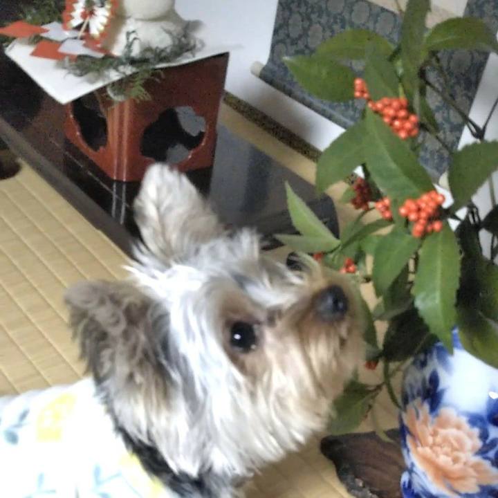 Dd56ab88 8562 42c0 93c7 082e9bd8c40f 1547205017927