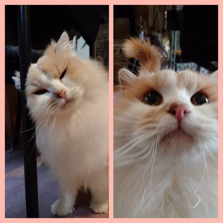 Dd56b385 9c74 4798 a4fe da3e8d4582df 1543926790177