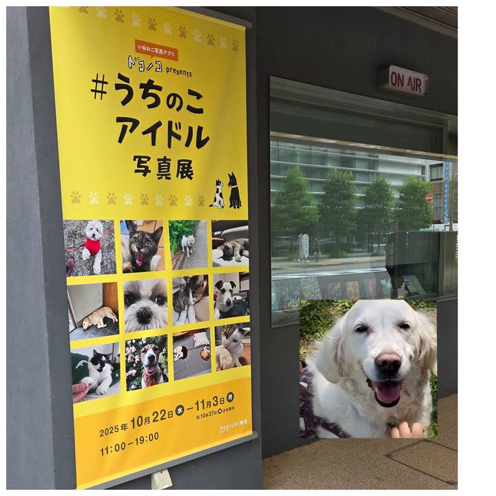 Dd56d6fa c7bf 4306 b294 8efb68b1669b 1761193862493