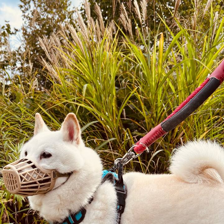 Dd56db13 3c77 48a2 aaa8 c34c85203ac6 1726379775376