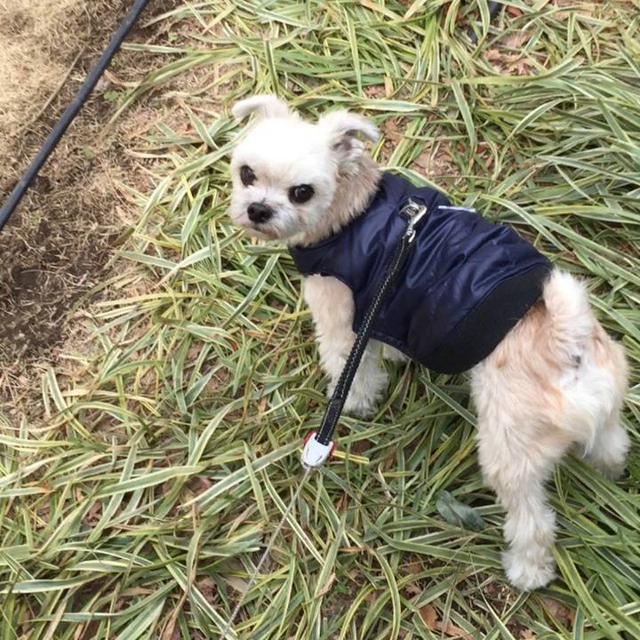 Dd57038b 0346 4650 bf63 c76c8ed22235 1549345095349