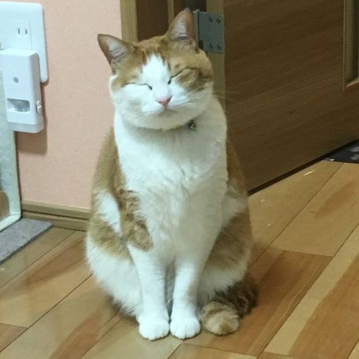 Dd571dce a0de 4954 a133 505ec54a2af0 1520610085549